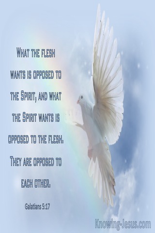 Galatians 5:17 What The Flesh Wants Is Opposed To What The Spirit Wants (windows)01:15